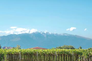 Winery