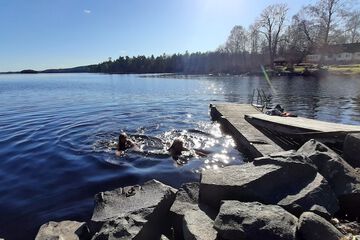 Lake