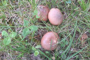 Photo 70