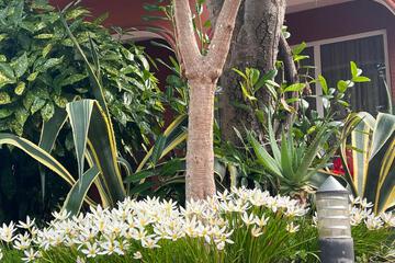Photo 47