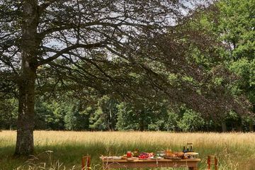 BBQ/picnic area