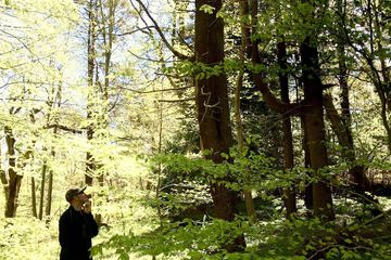 Hiking