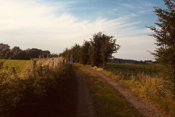 Hiking