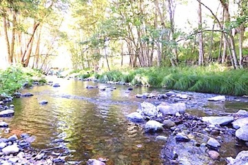 Land view from property