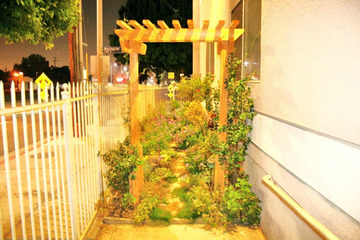Photo 35
