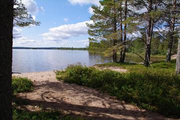 Photo 43