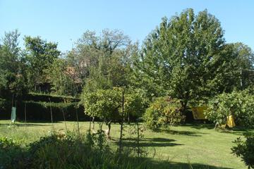Photo 56