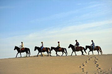 Horseback riding