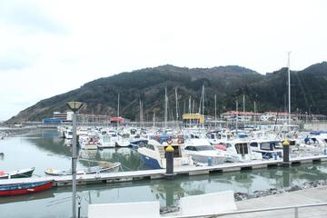 Photo 31