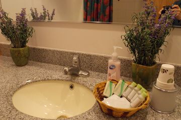 Bathroom amenities