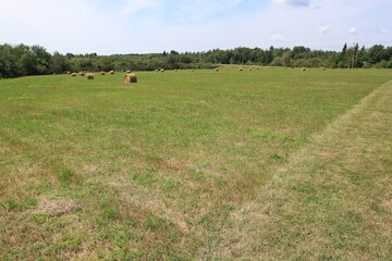 Property Grounds 137 of 137