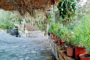 Photo 44