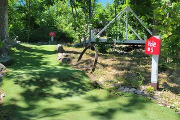 Mini-golf