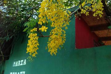 Photo 42
