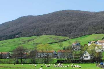 Mountain view