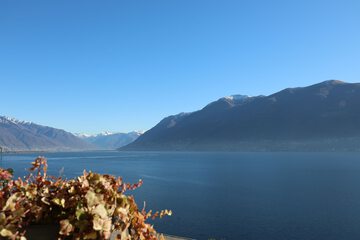 Lake view