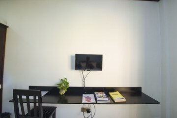 Television