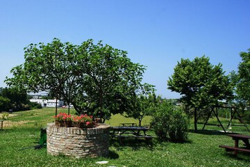 BBQ/picnic area