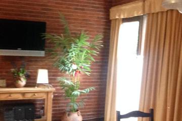 Photo 37