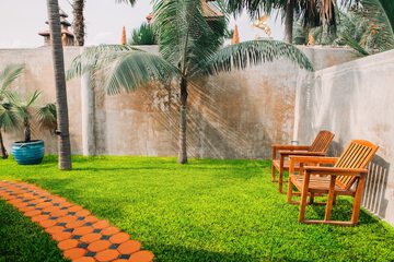 Garden view
