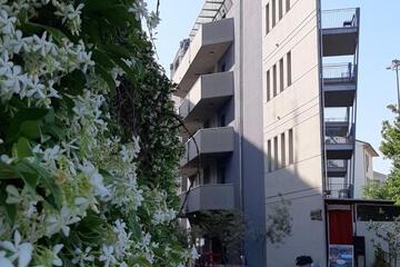 Photo 42