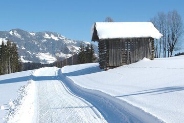 Snowshoeing