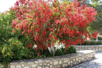Photo 28