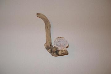 Photo 38