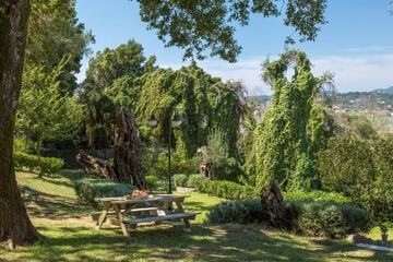 BBQ/picnic area