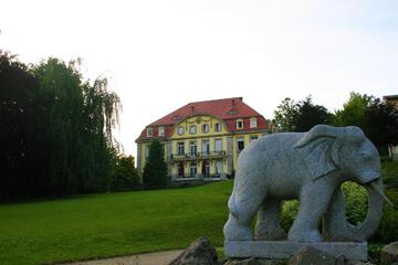 Photo 50