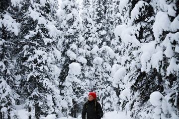 Hiking