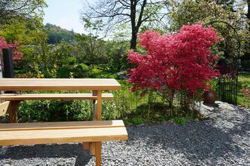Garden view