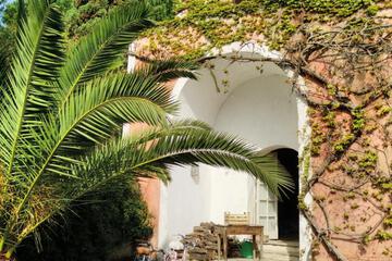 Photo 36