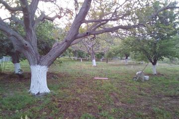 Photo 85