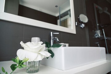 Bathroom sink
