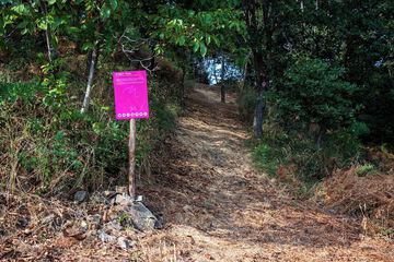 Hiking