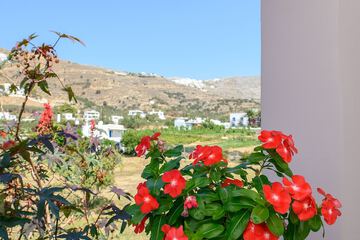 Land view from property