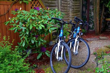 Bicycling