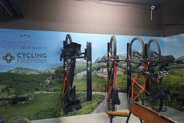 Bicycling