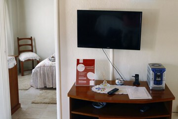 Television