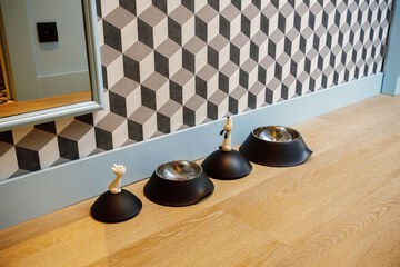 Pet-friendly amenities