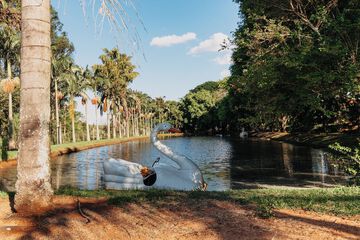 Lake view