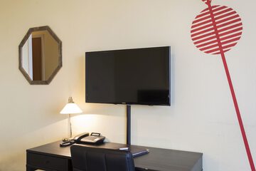 Television