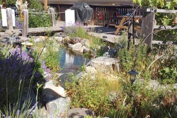 Photo 34