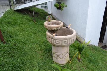 Photo 24
