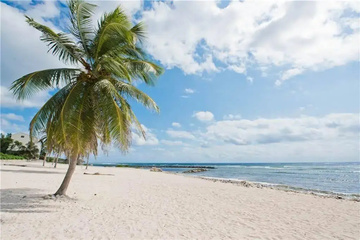 beach