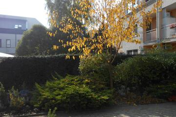 Photo 35