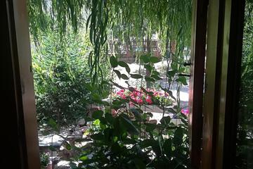 Photo 35