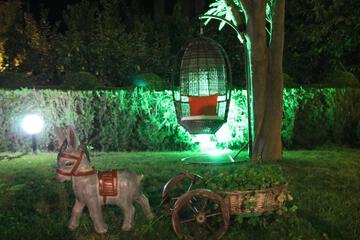Photo 41