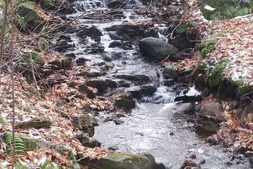 Hiking
